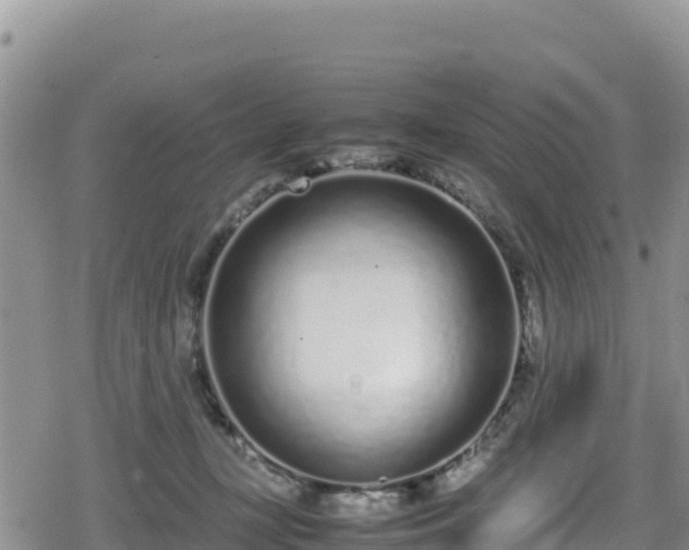 X0000080710367200612221149