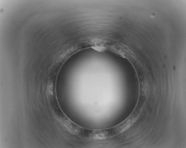 X0000080710368200612221149