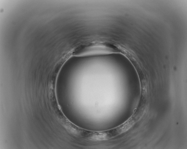 X0000080710369200612221149