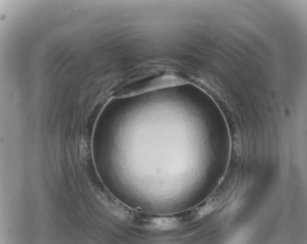 X0000080710371200612221149