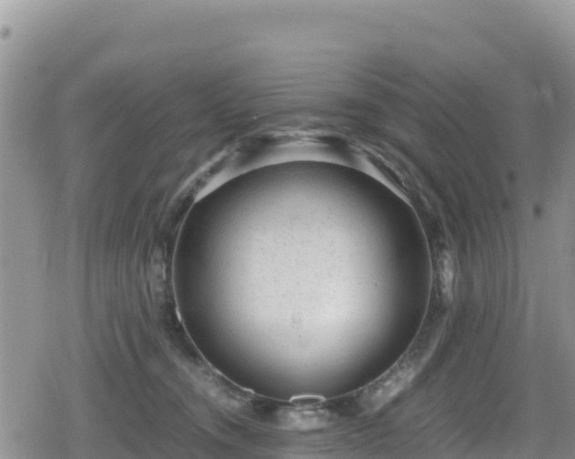 X0000080710372200612221149