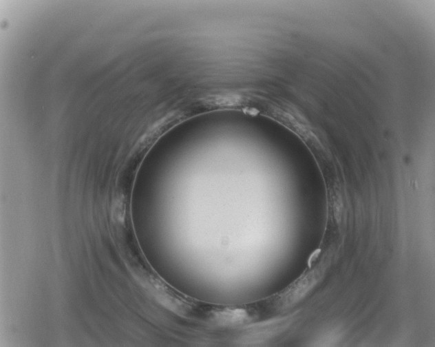 X0000080710374200612221149