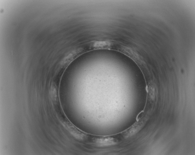 X0000080710375200612221149