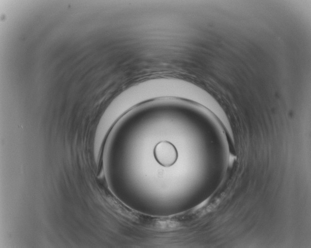 X0000080710376200612221149