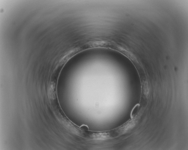 X0000080710378200612221149