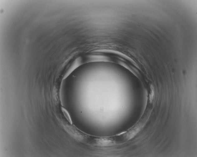 X0000080710380200612221149