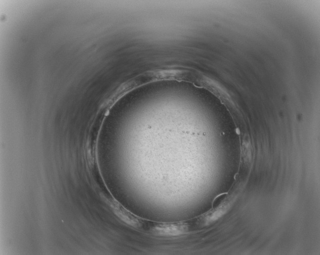 X0000080710381200612221149