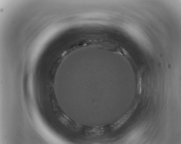 X0000080710383200612221149