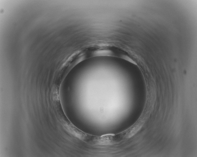 X0000080710384200612221149