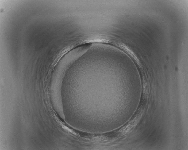 X0000080710385200612221148