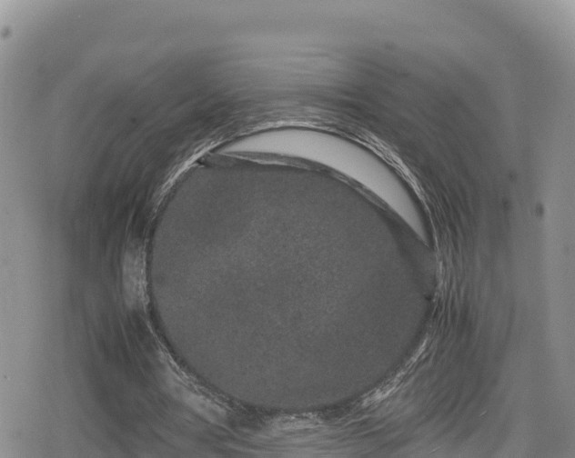 X0000080710386200612221148