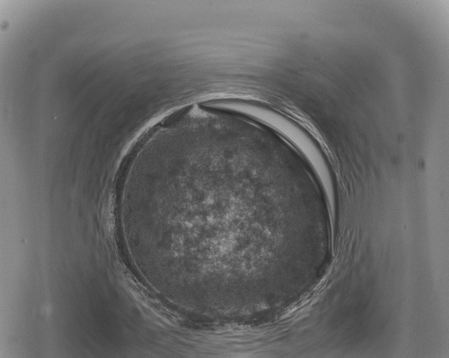 X0000080710387200612221148