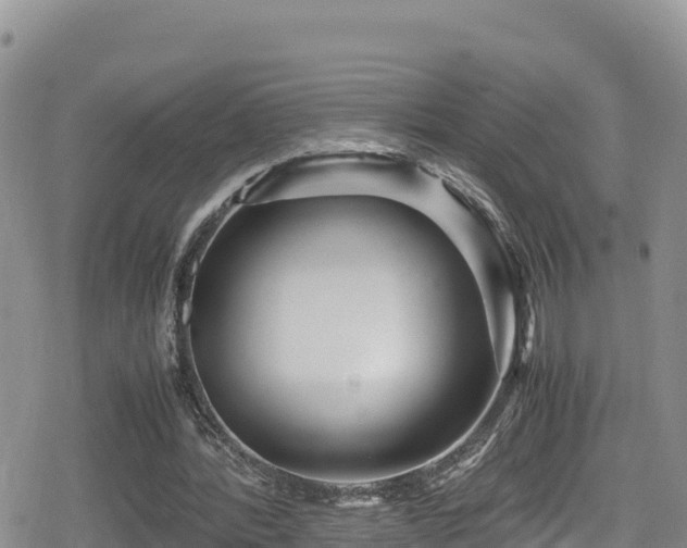 X0000080710388200612221148