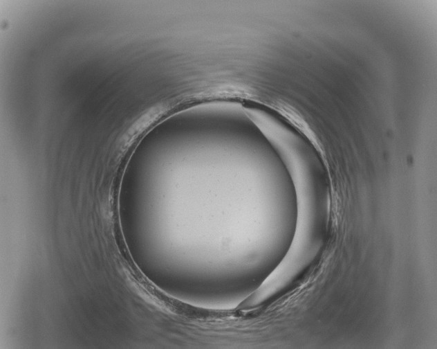 X0000080710389200612221148