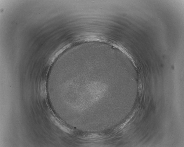 X0000080710390200612221148