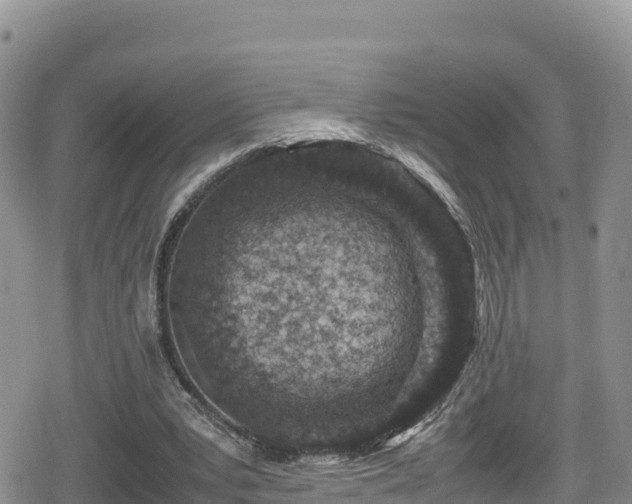 X0000080710391200612221148