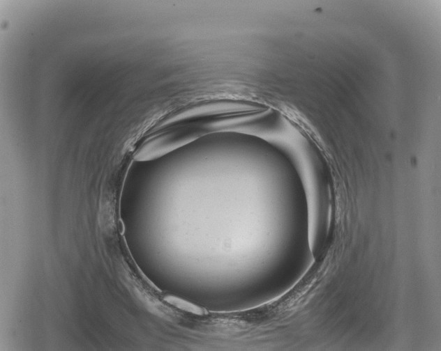 X0000080710393200612221148