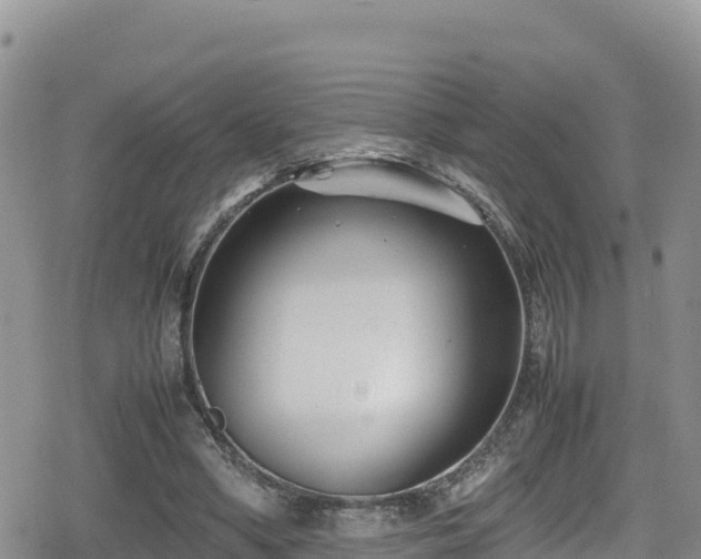 X0000080710394200612221148