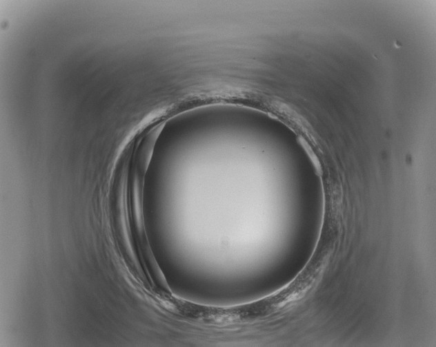 X0000080710395200612221148