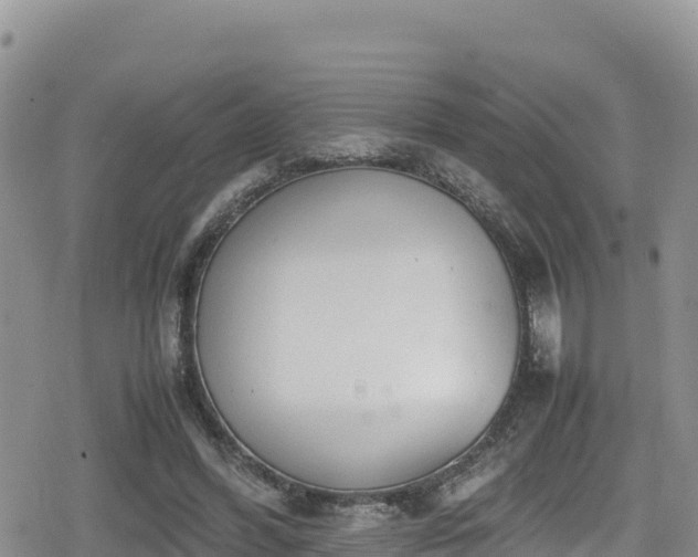 X0000080710396200612221148