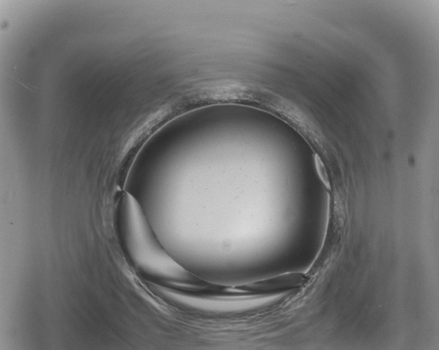 X0000080710397200612221148