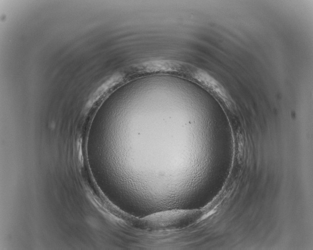 X0000080710398200612221148