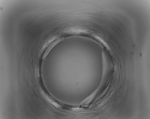 X0000080710399200612221148