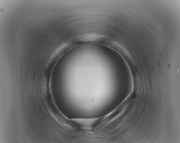 X0000080710400200612221148