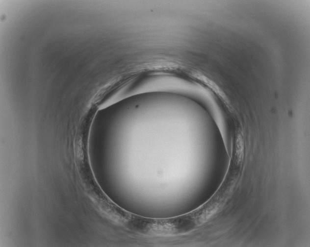 X0000080710403200612221148