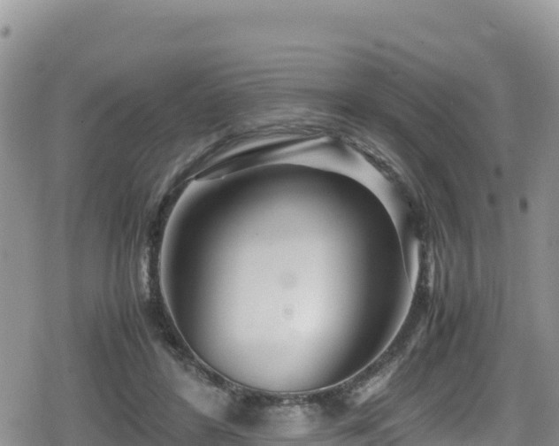 X0000080710404200612221148