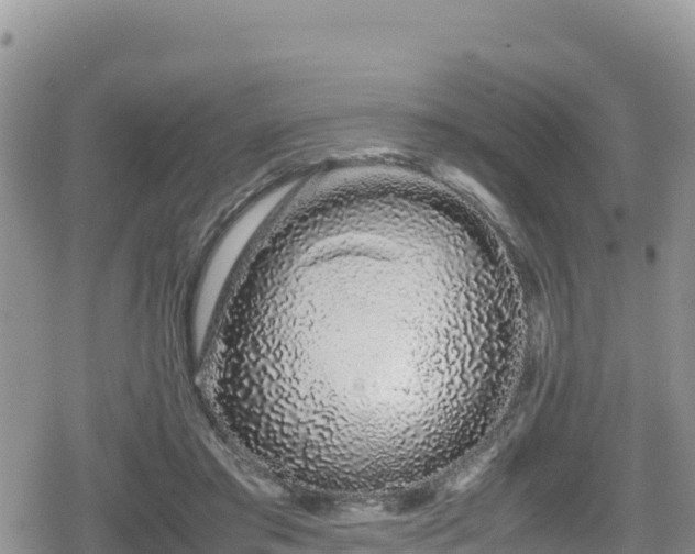 X0000080710405200612221148