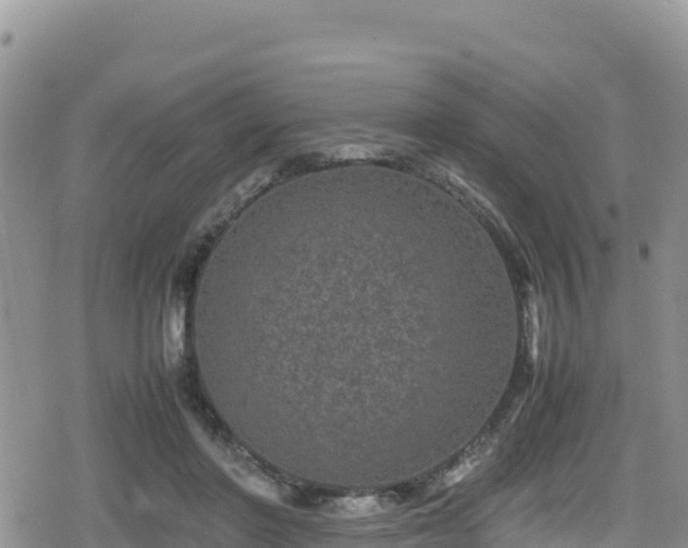 X0000080710406200612221148