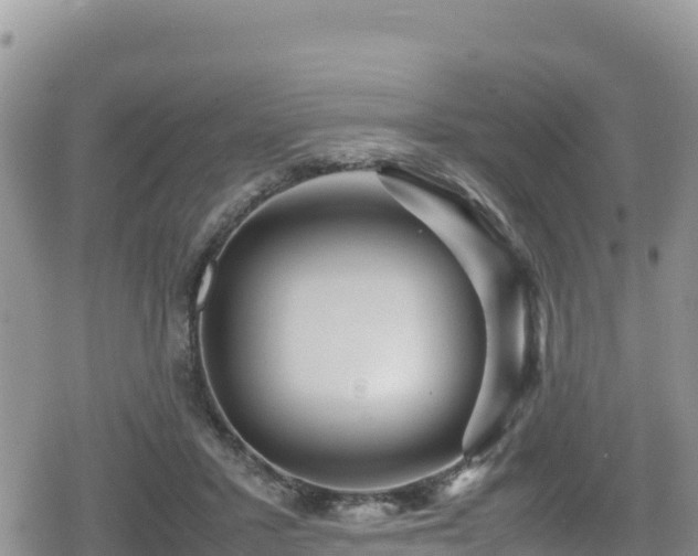 X0000080710407200612221148