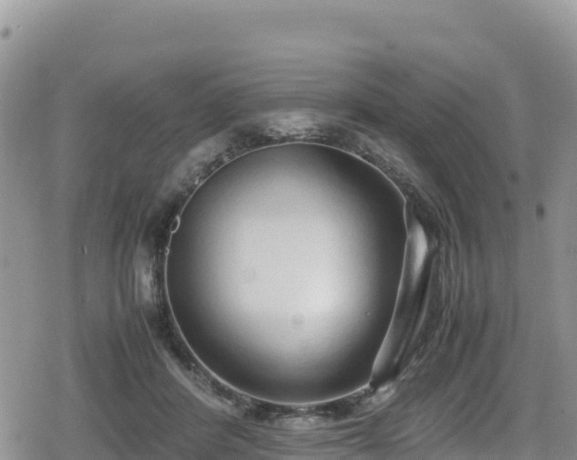 X0000080710408200612221148