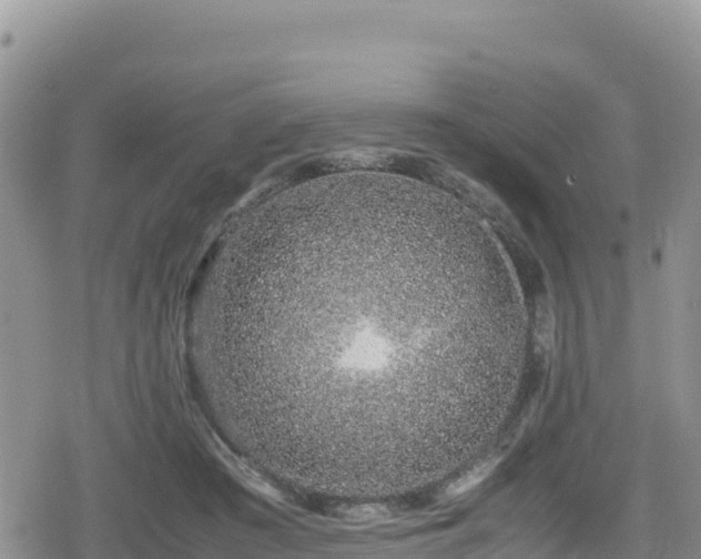 X0000080710409200612221148