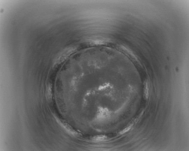 X0000080710410200612221148