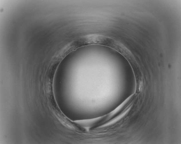 X0000080710413200612221148