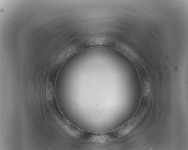 X0000080710414200612221148