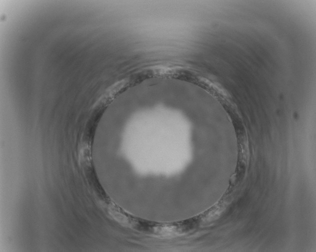 X0000080710419200612221147