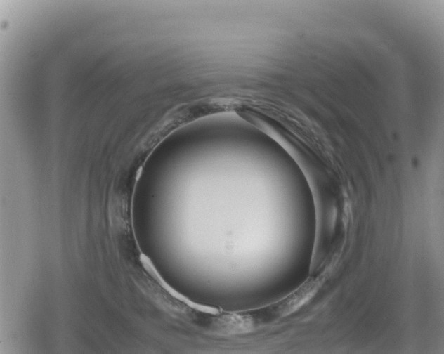 X0000080710421200612221147