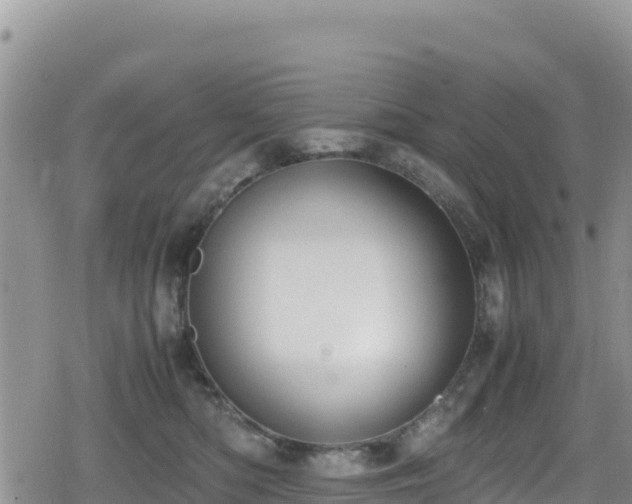 X0000080710422200612221147