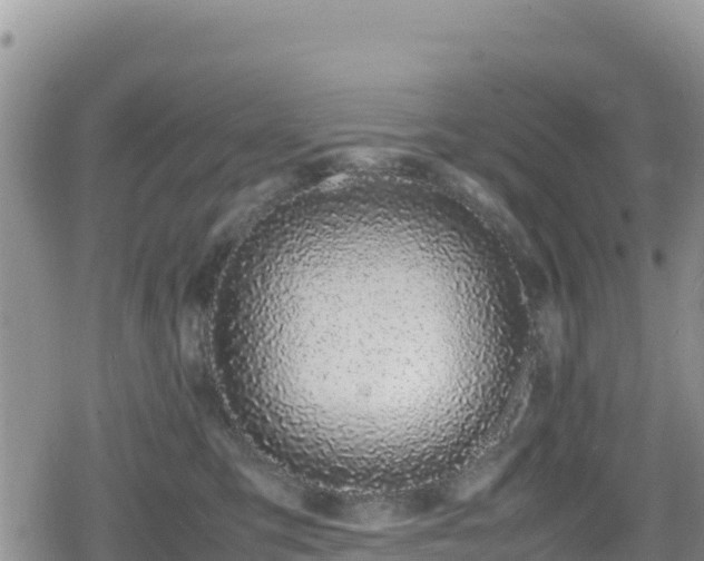 X0000080710423200612221147