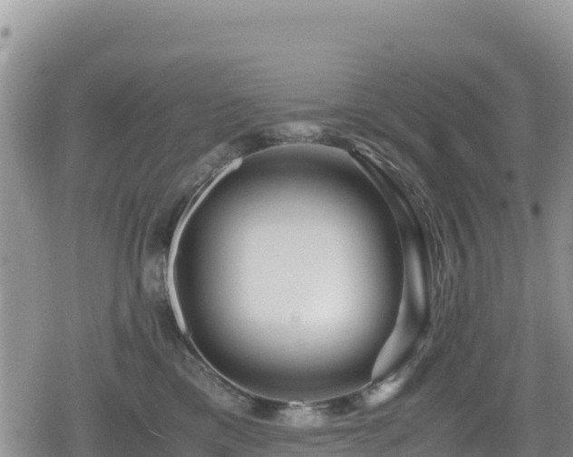 X0000080710425200612221147