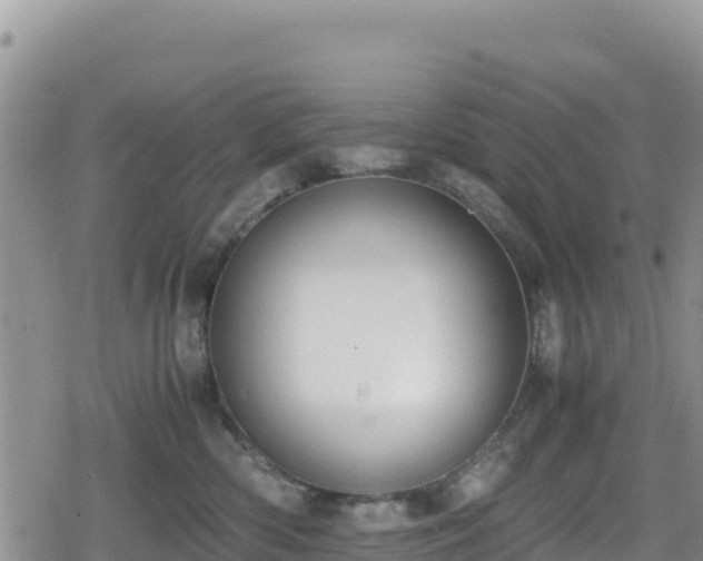 X0000080710426200612221147