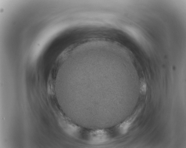 X0000080710431200612221147