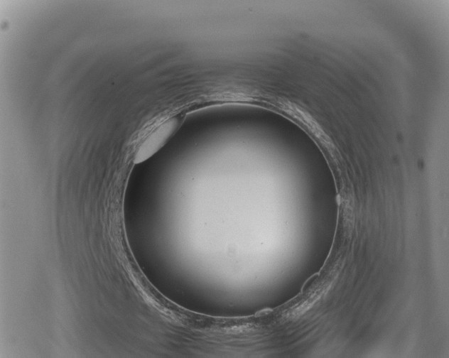 X0000080710433200612221146