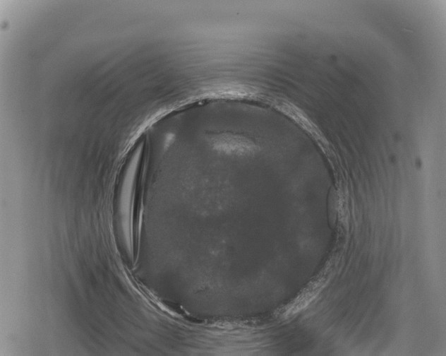 X0000080710434200612221146