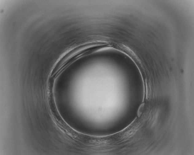 X0000080710435200612221147