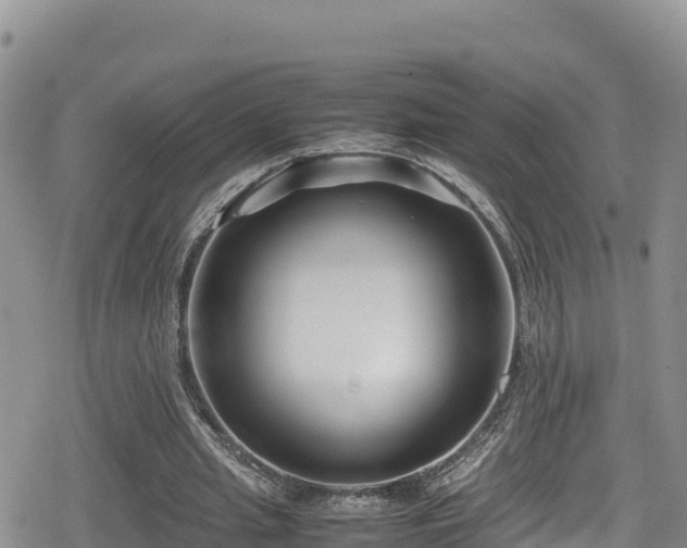 X0000080710437200612221147