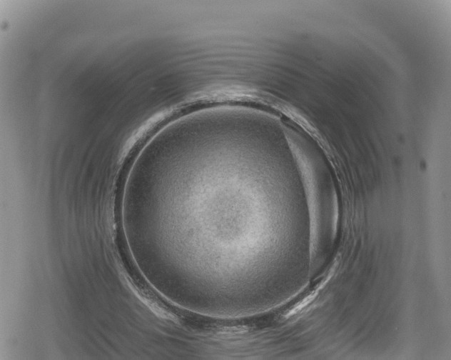 X0000080710438200612221147